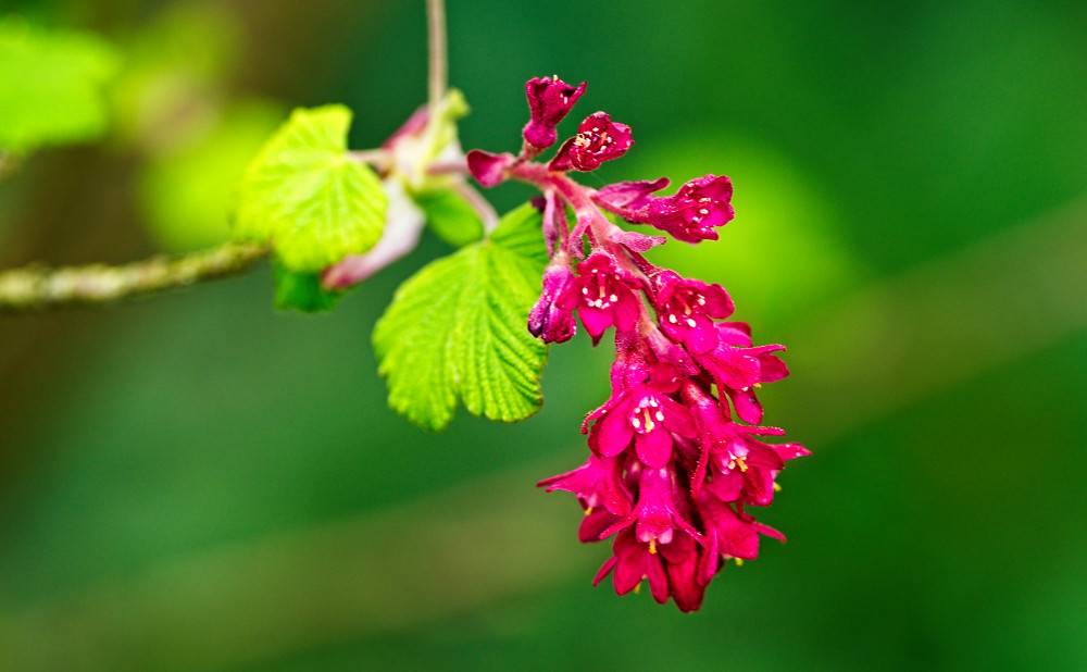 VG_850_4446_on1-2000.jpg