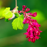 VG_850_4446_on1-2000