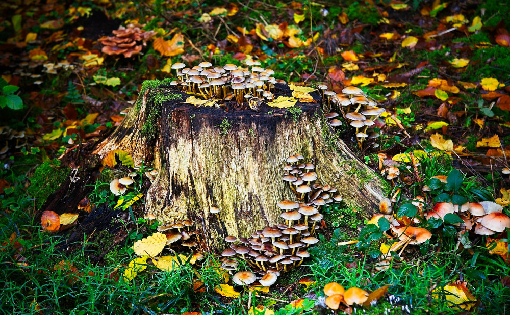 VG_850_0115_on1-2000.jpg
