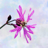 850_4493_on1-2000