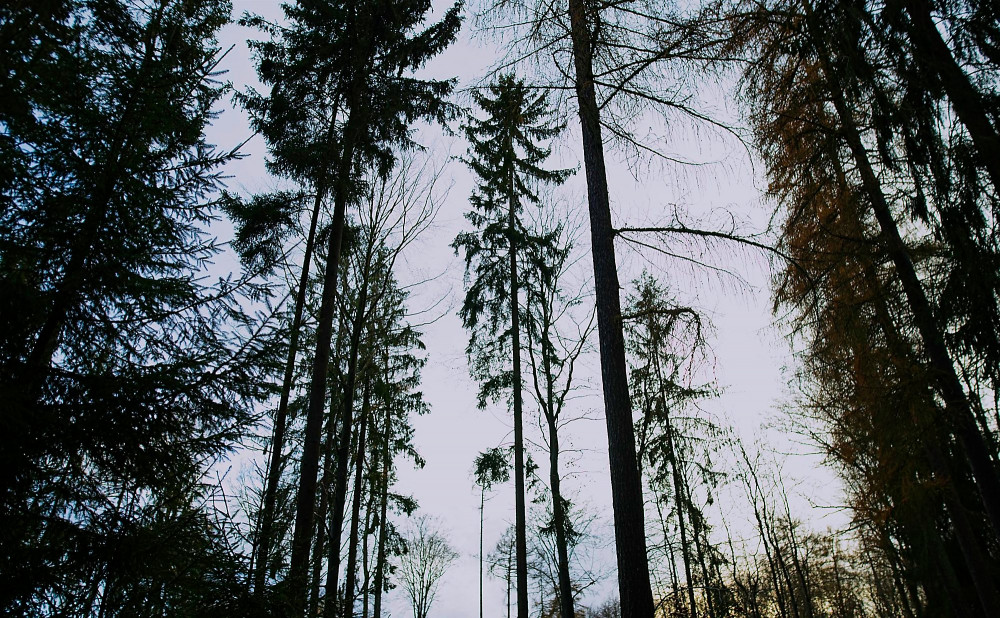 VG_850_1440_on1-2000.jpg