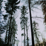 VG_850_1440_on1-2000