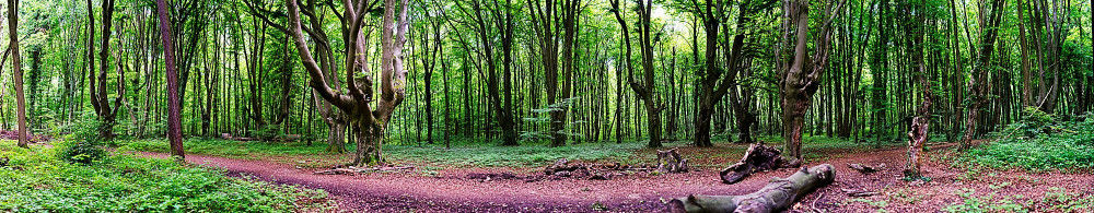 VG8_1667-Panorama-1_on1-2000.jpg
