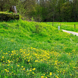 VG_850_4514_on1-2000