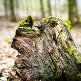VG_850_4583_on1-2000