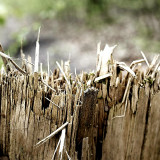 VG_850_4570_on1-2000