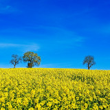 VG_850_4623_1_on1-2000