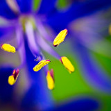 VG_500_5496_on1-2000