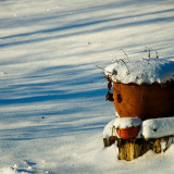 VGO_6925_on1-2000