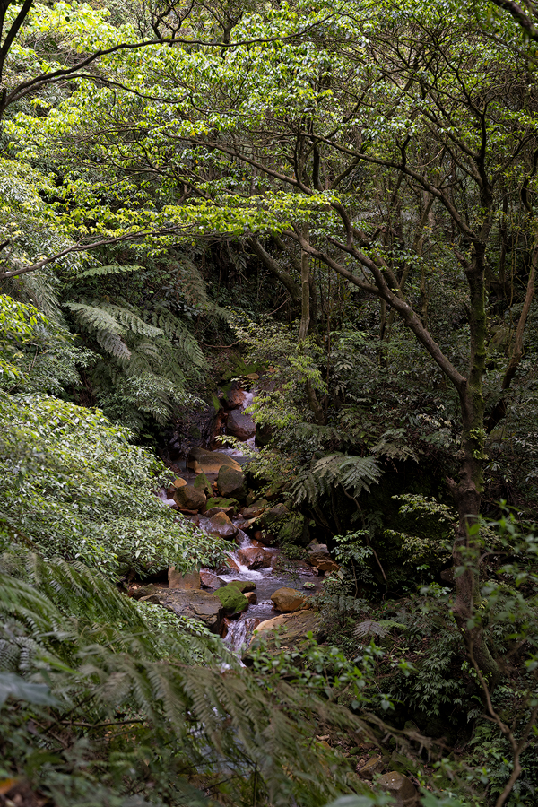 Yangminshan 01