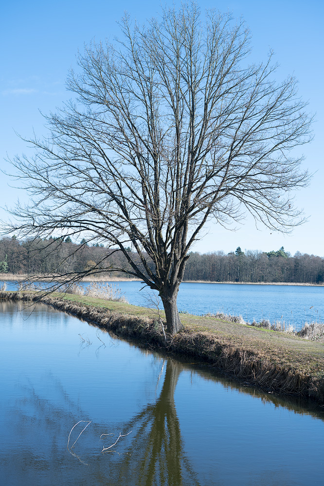 Dechsendorfer Weiher 2024