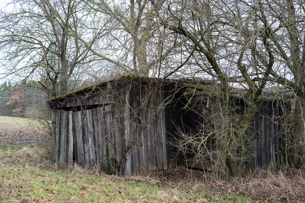 bei Neunhof