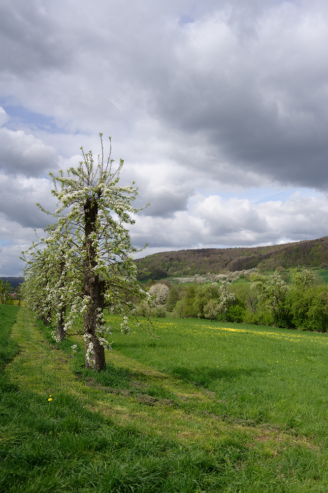 Richtung Hagenbach