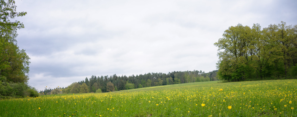 Zwischen Engeltal und Hersbruck