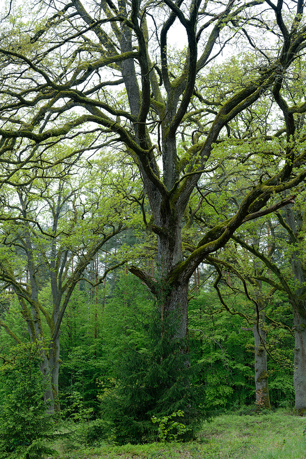 Zwischen Engeltal und Hersbruck