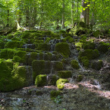IMG_1778-2