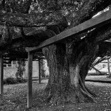 _VZ74089-SW-2