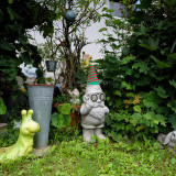 _VZ74096-NEF-20240717-DxO_DeepPRIME-XD2-2