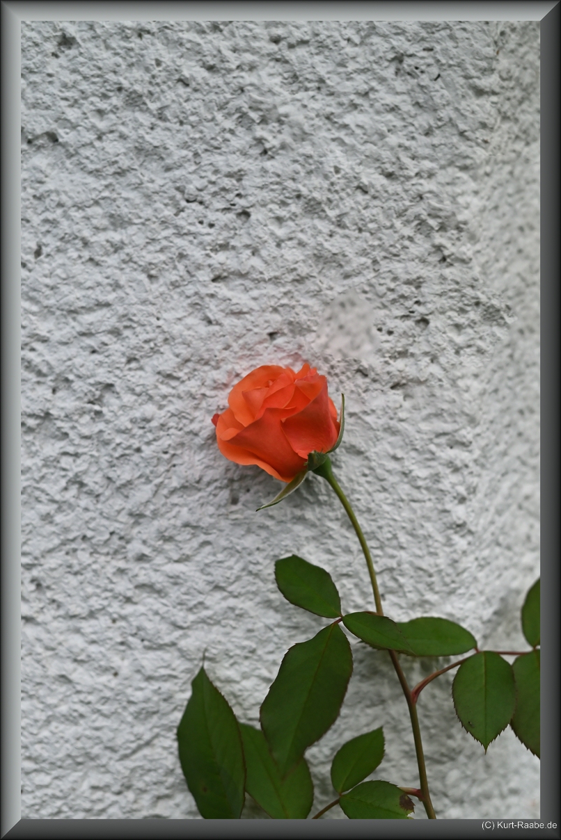(C) Kurt Raabe.deKRZ 6766 01 01