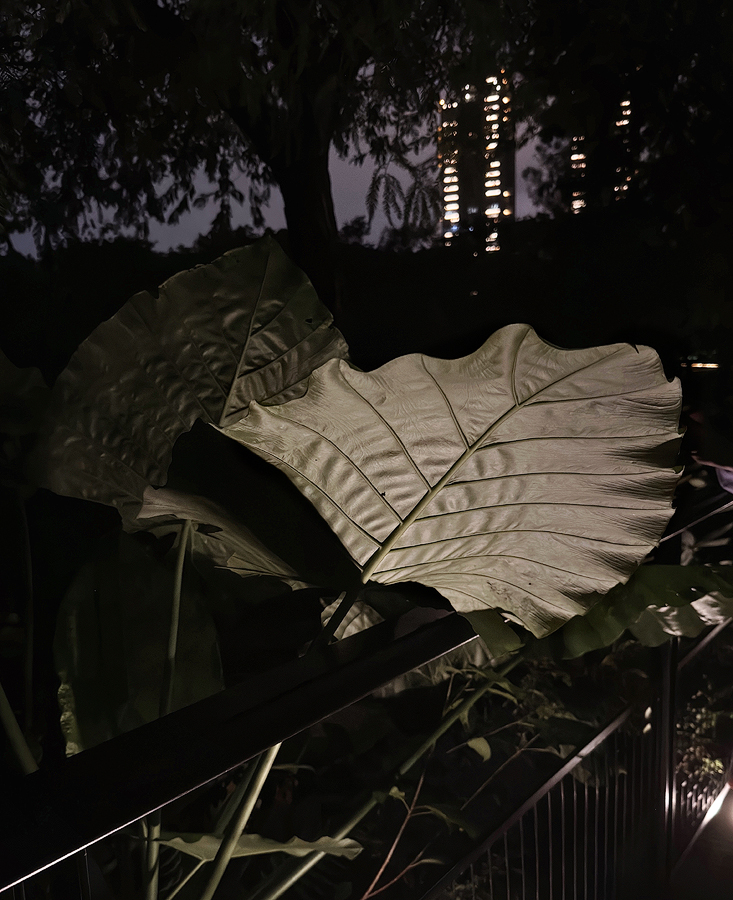 Taipei, Daan Park 3