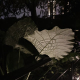 Ultralight_IMG_2447-2.jpg