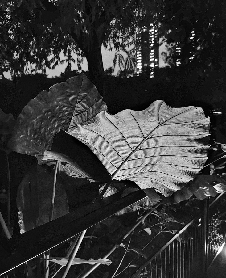Taipei, Daan Park 3 SW
