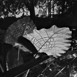 Ultralight_IMG_2447-SW-2.jpg