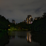 _VZ75988-NEF-20241022-DxO_DeepPRIME-XD2-2