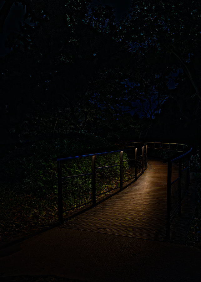 Taipei, Daan Park 04