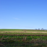_VZ76203-20241127-DxO_DeepPRIME-XD2s-2