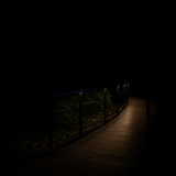 _VZ76148-NEF-20241103-DxO_DeepPRIME-XD2-2