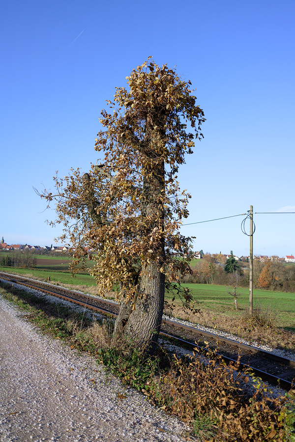Kalchreuth, an der Bahnlinie 2024