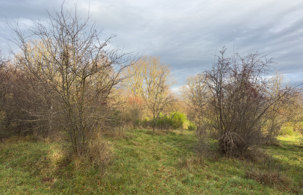 Hainberg20241218-1.jpg