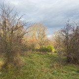 Hainberg20241218-1
