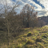 Hainberg20241218-3.jpg