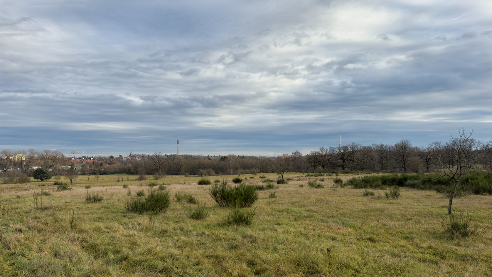 Hainberg20241218-4.jpg