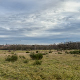 Hainberg20241218-4