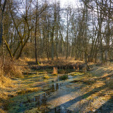 _VZ76770-2