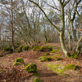 Hirtenstein03