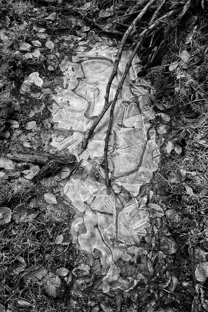 Impression02.
