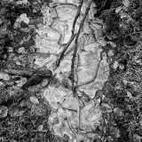 Impression02..jpg