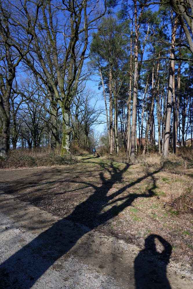 Engelthal, Krönhof