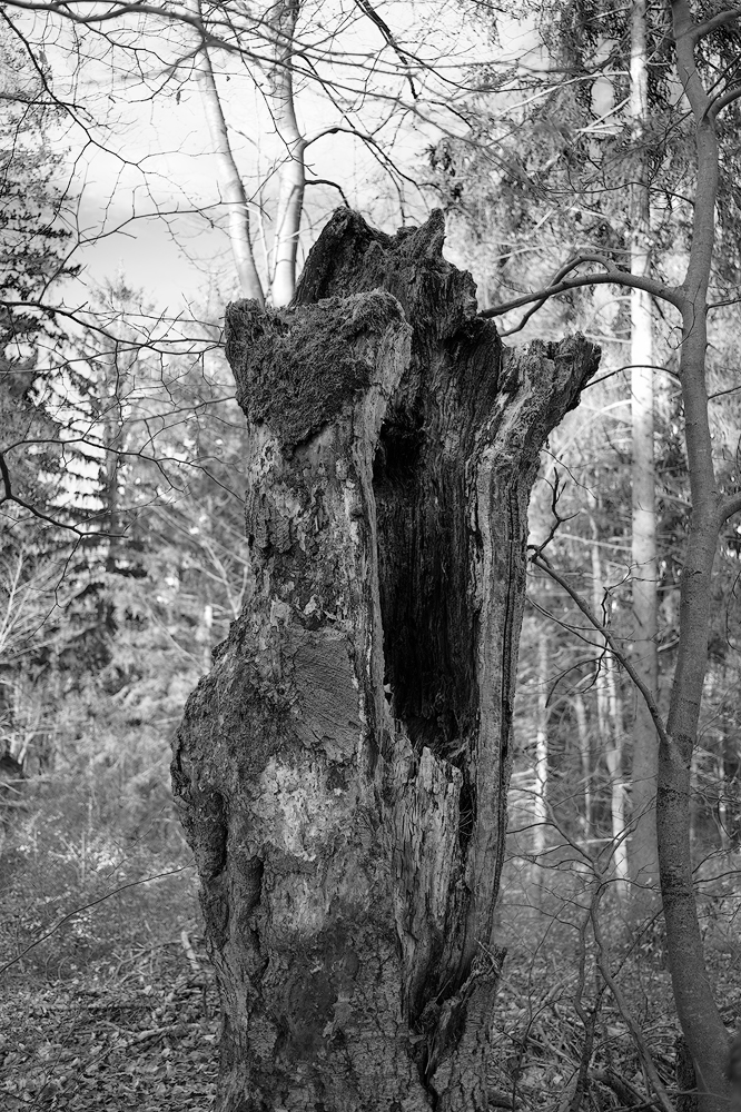 Velden-Hartenstein-Neuhaus, Torso sw