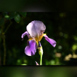 C-Kurt-Raabe.deKRZ_4613_1