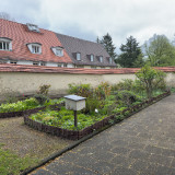 IMG_3407-1