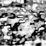 _VZ77880-1bSW-2