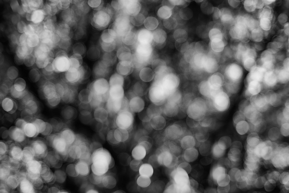 _VZ77976-2sw-1.jpg