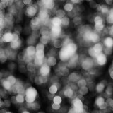 _VZ77976-2sw-1
