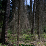 _VZ78436-DxO_DeepPRIME-XD2s_XD-2