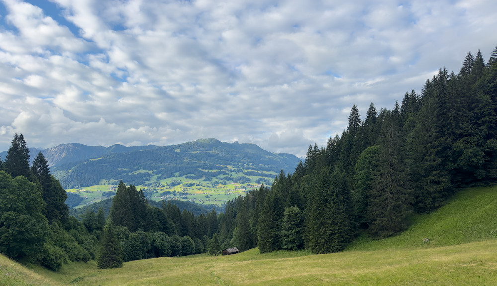 IMG_3739-1-2.jpg